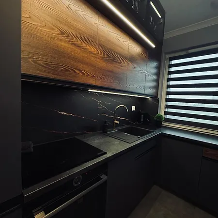 Topapart Posnania Samodzielnie Zameldowanie 24h Apartament